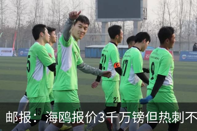 邮报：海鸥报价3千万镑但热刺不愿卖武什科维奇 巴萨国米拜仁关注